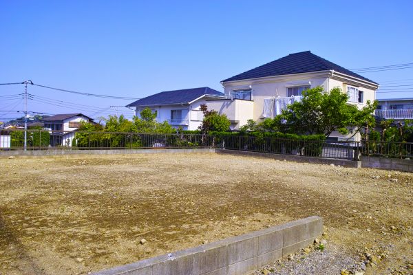 Cost of Lot Clearing Service in Palm Bay