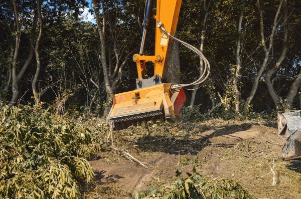 Cost of Brush Removal Service in Palm Bay