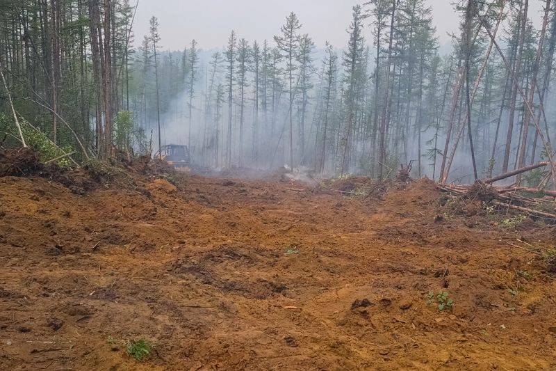 Bulldozer Site Clearing