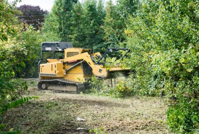 Fall Land Clearing Activities